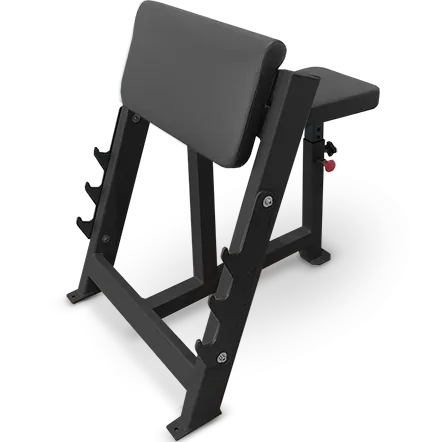 Скамья Скотта BRONZE GYM PARTNER AL-303