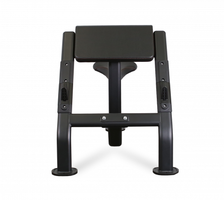 Скамья Скотта профессиональная BRONZE GYM BR-1007
