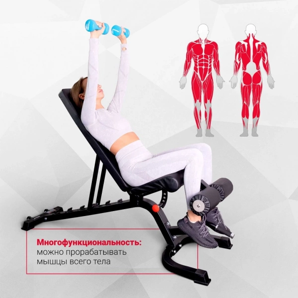 
            Скамья многофункциональная регулируемая Protrain HC-TC010        