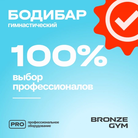 Палка гимнастическая профессиональная BRONZE GYM БОДИБАР, 4 кг