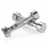 Гантель хром 1 кг (2 штуки) VictoryFit VF-CR010-2
