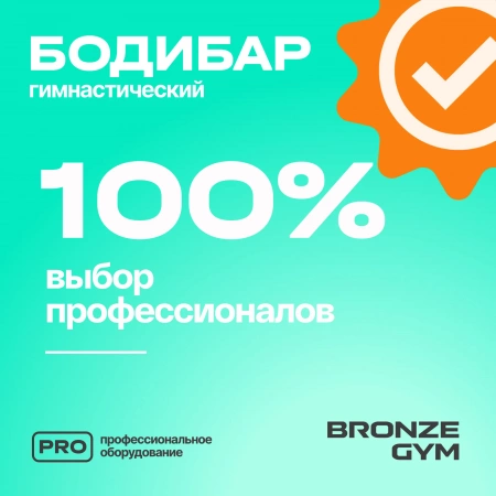 Палка гимнастическая профессиональная BRONZE GYM БОДИБАР, 6 кг