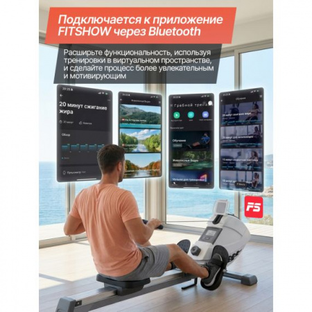                 Гребной тренажер DFC SQ-RM901, магнитный