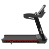 Беговая дорожка CardioPower PRO CT250