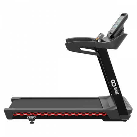 Беговая дорожка CardioPower PRO CT250
