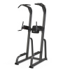 Турник/брусья/пресс AnyFit PEB108