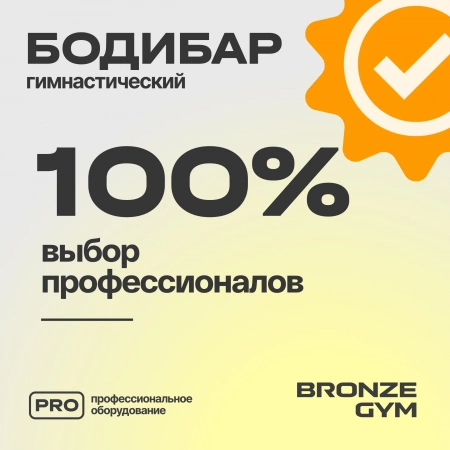 Палка гимнастическая профессиональная BRONZE GYM БОДИБАР, 2 кг