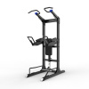 Турник/брусья/пресс Protrain GT-PTR (опция GT-PTR-PDA в комплекте)