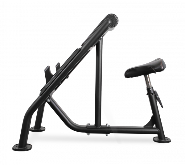 Скамья Скотта профессиональная BRONZE GYM BR-1007