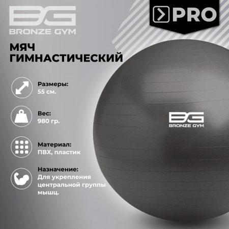 Мяч гимнастический GYM BALL  ANTI-BURST, 55 см.