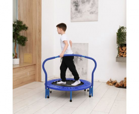 Батут с поручнем DFC Gardenature 36'' синий