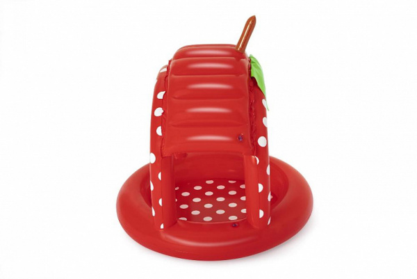 Надувной бассейн Bestway Very Berry 52387 (91x91x91)