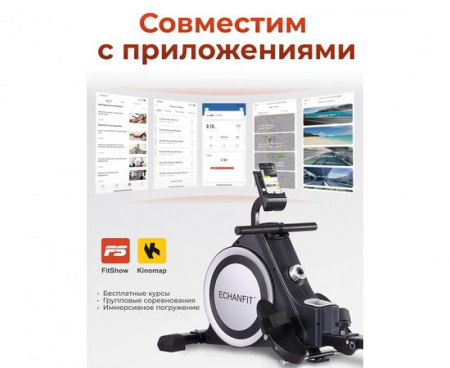 Гребной тренажер DFC ECHANFIT, складной