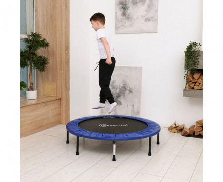 Батут DFC Kinertial 48'' синий