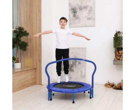 Батут с поручнем DFC Gardenature 36'' синий