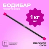Палка гимнастическая профессиональная BRONZE GYM БОДИБАР, 1 кг
